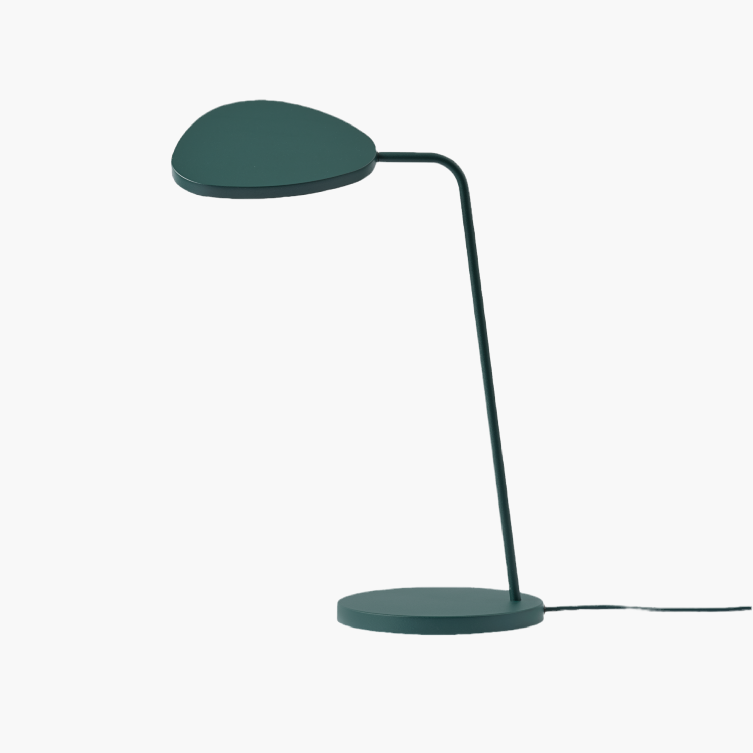 7A068694-42F4-4814-B599-F13D5D0B724F Leaf - obrazek 1